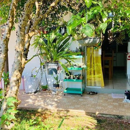 Para Desfutar Com A Familia Bombinhas Zewnętrze zdjęcie
